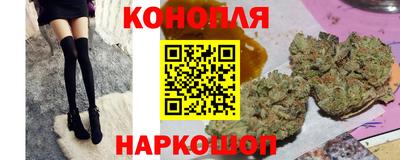 сатива Лесосибирск