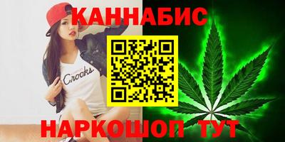 сатива Лесосибирск