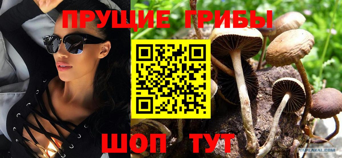 Галлюциногенные грибы GOLDEN TEACHER Бугуруслан